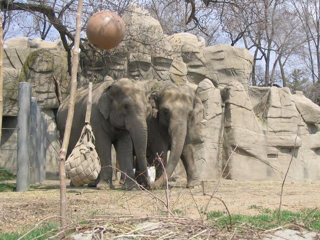 Detroit Zoo